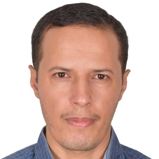 Team Member